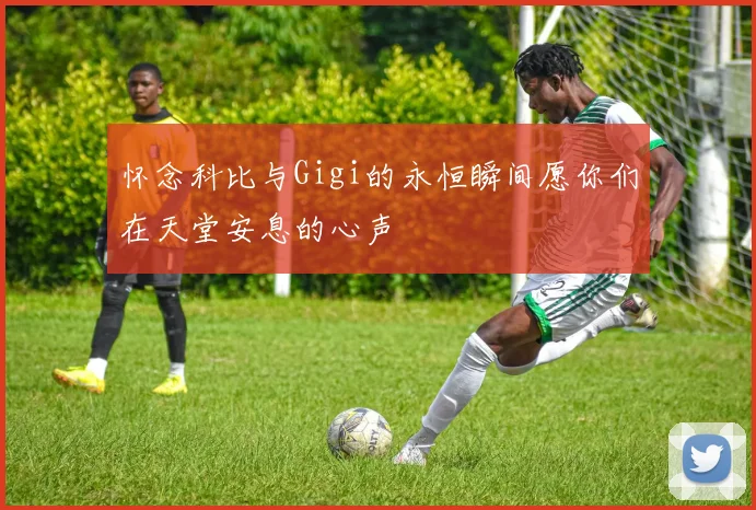 怀念科比与Gigi的永恒瞬间愿你们在天堂安息的心声