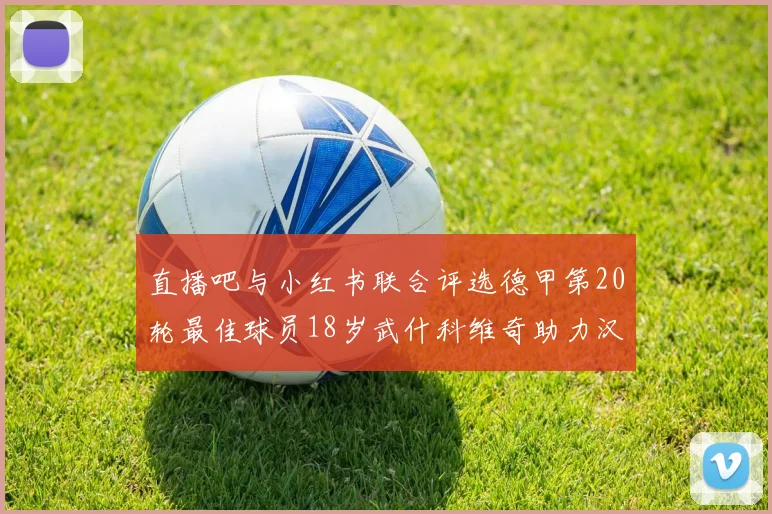 直播吧与小红书联合评选德甲第20轮最佳球员18岁武什科维奇助力汉堡逼平拜仁